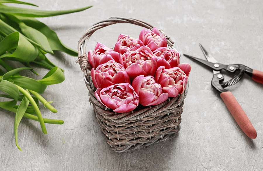 Cum să creezi un aranjament floral de primăvară, chiar la tine acasă?