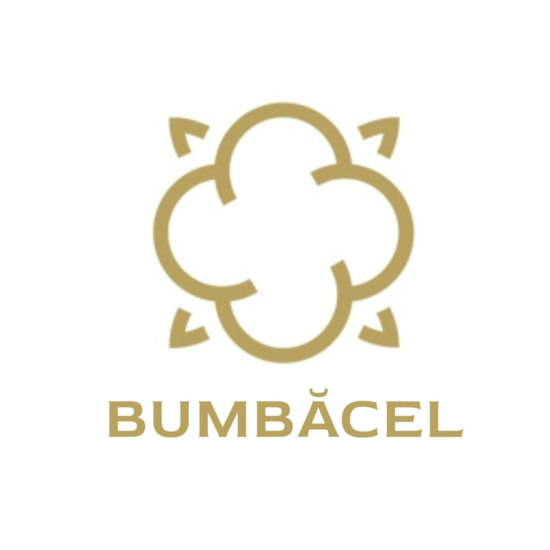 Bumbacel logo
