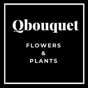Qbouquet